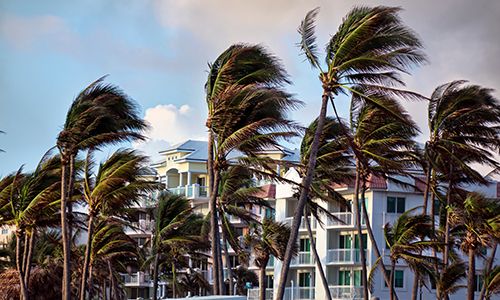 nsurance Reconstruction Services, LLC offers a range of specialized equipment for fire, flood, storm, and mold damage. nsurance Reconstruction Services, LLC offers a range of specialized equipment for fire, flood, storm, and mold damage.